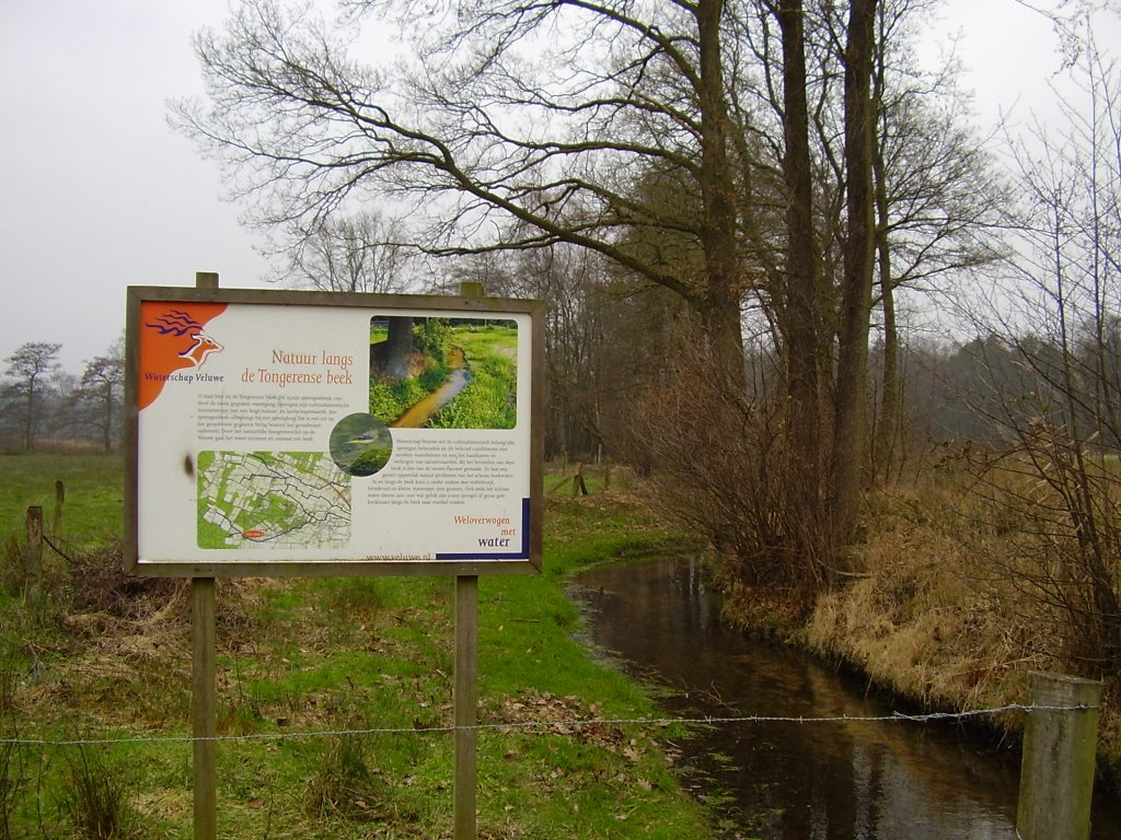 Beek en Veen