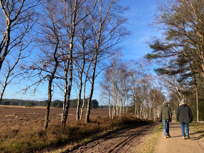 Wandelen